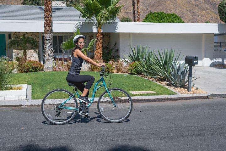 Palm Springs Indian Canyons EBike and Hike