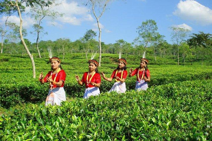 Private Tour: 5 Days - Bangladesh Nature & Culture Tour - North-eastern part
