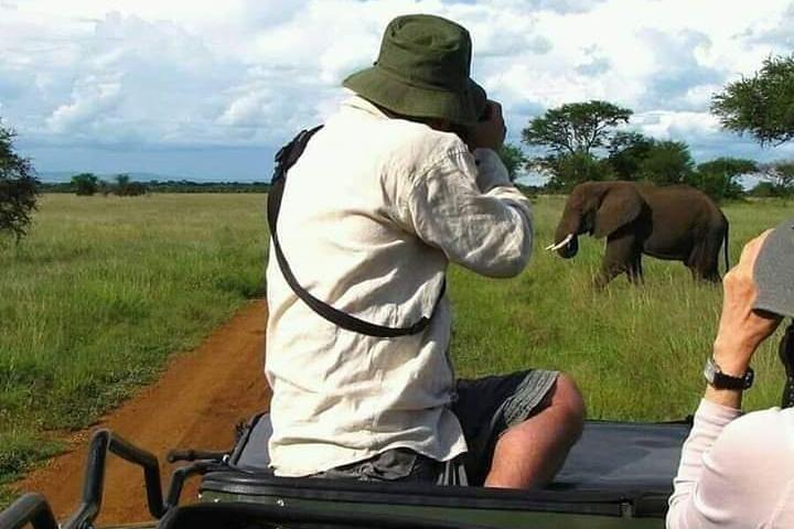 3 Days Tanzania Budget Safari - Tarangire, Ngorongoro, Manyara