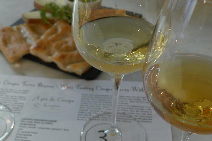 tasting and walk among the vineyards of the Cinque Terre