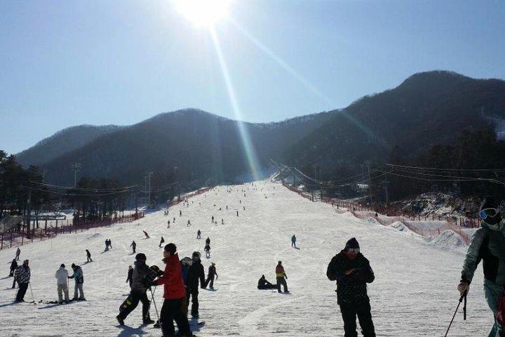 Seoul Ski Tour at Jisan Forest Resort