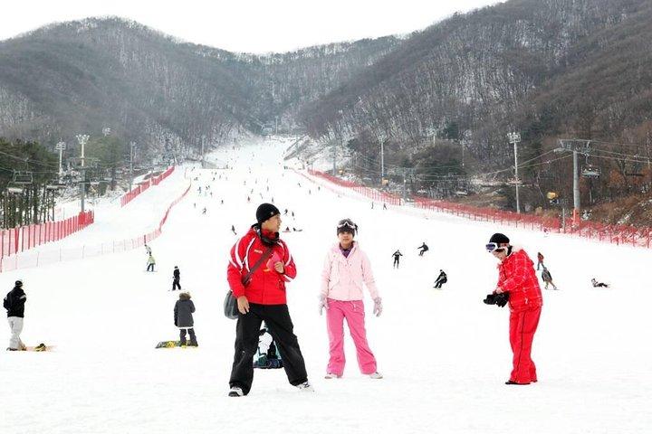 Seoul Ski Tour at Jisan Forest Resort