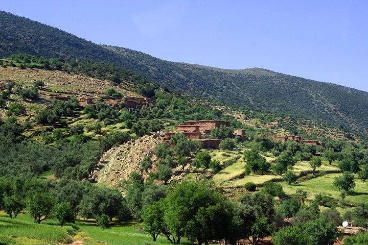 Ouzoud Waterfalls Day Trip from Marrakech