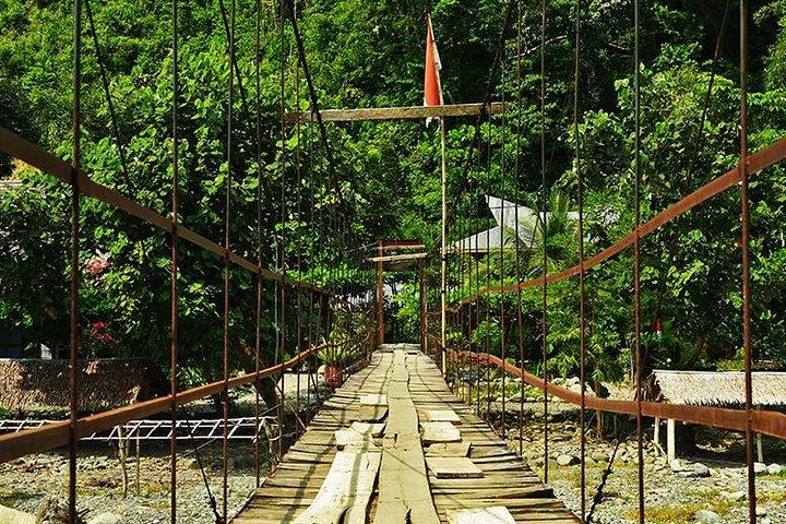 Bukit Lawang Full Day Jungle Trek