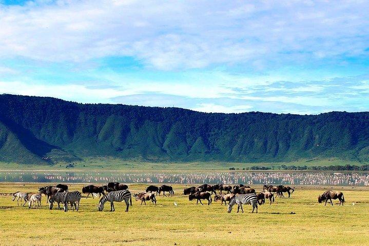 Adventure in the Rift-valley