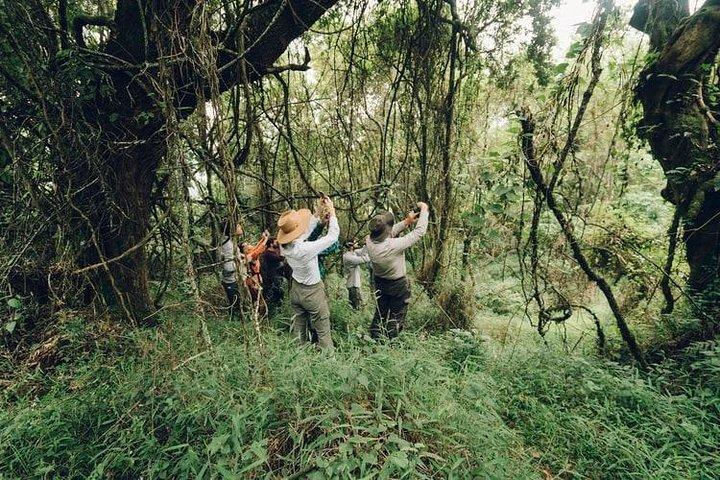 5 Days adventurous Chitwan and pleasing Pokhara Tour from Kathmandu