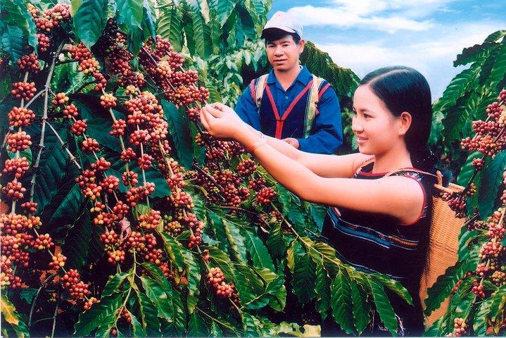 Dalat Countryside Private Tour and Waterfalls