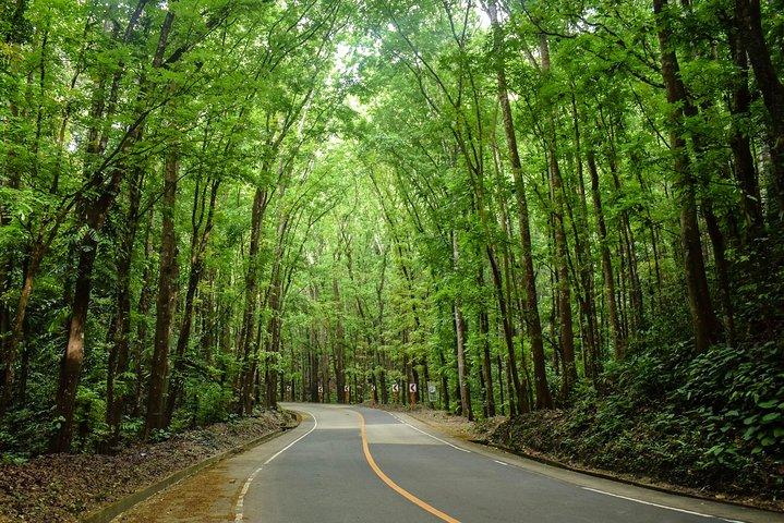 Bohol Countryside Day Tour from Cebu City or Mactan - Best Seller