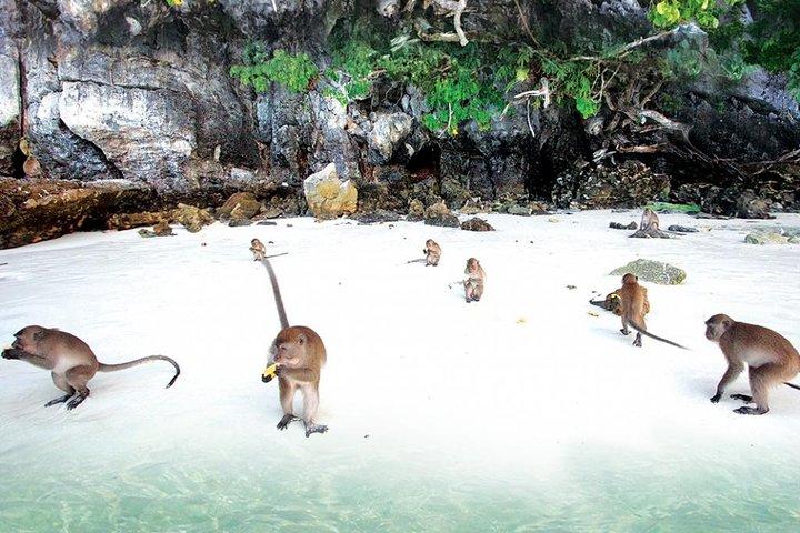 Private VIP Speed Boat to Phi Phi & Bamboo Islands