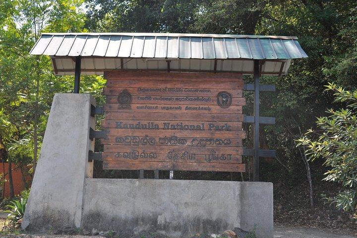 Kaudulla National Park Entrance Ticket with Private Safari