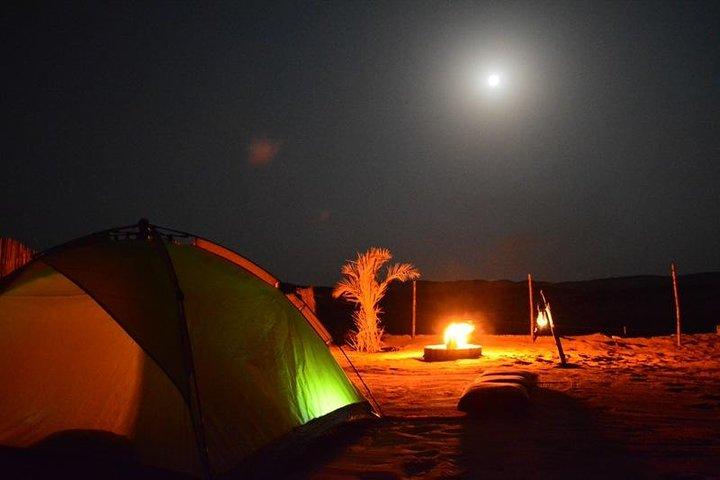 Overnight Desert Safari Abu Dhabi with BBQ Dinner & Morning Breakfast