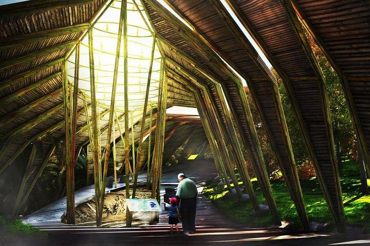 Kuala Kangsar & Lenggong Valley Day Tour from Kuala Lumpur