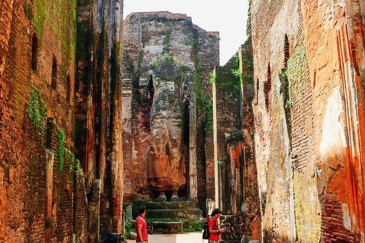 Day Tour from Dambulla to Sigiriya or Pidurangala & Polonnaruwa