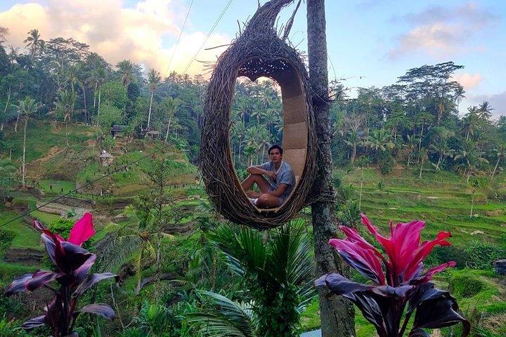Bali Full-Day Traditional Village Sightseeing Trip All Inclusive