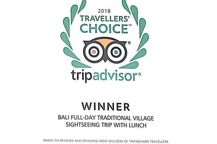 Bali Full-Day Traditional Village Sightseeing Trip All Inclusive
