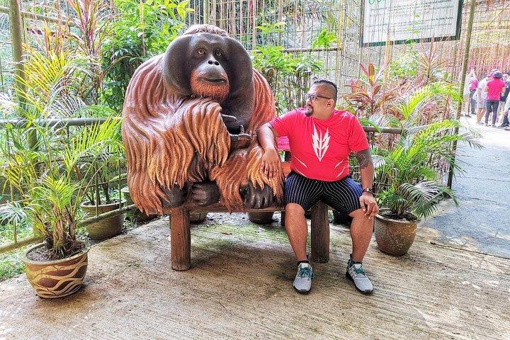 Orang Utan Island" for the unique wildlife experience