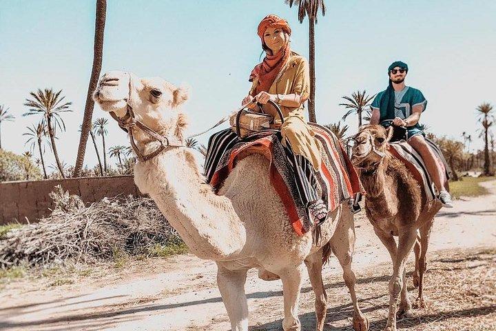 Marrakech Camel Ride Tour