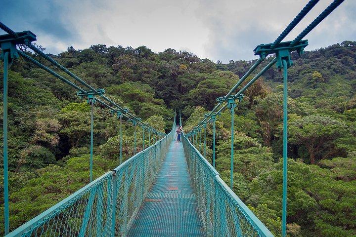 Rainforest Canopy Zipline & Hanging Bridges Tour From Monteverde