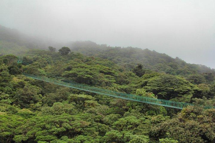 Hanging Bridges & Tour Guide From Monteverde