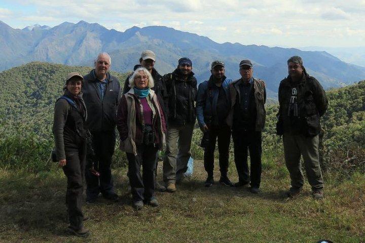 Birdwatching tour to Tijuca National Park with Pica-pau Tours