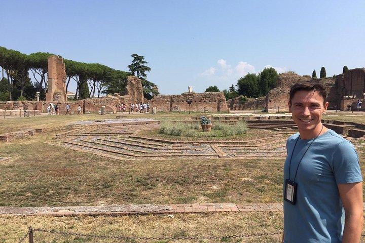 VIP Tour of the Colosseum, Forum & Palatine Hill by PhD Guide
