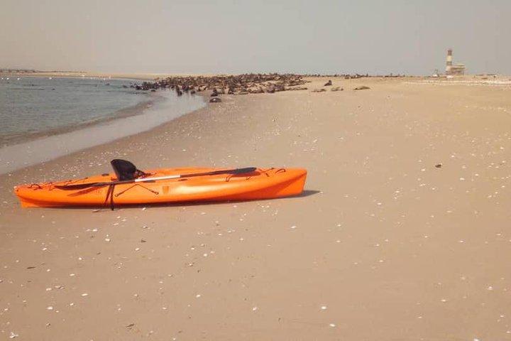 Half Day Kayaking Adventure in Walvis Bay