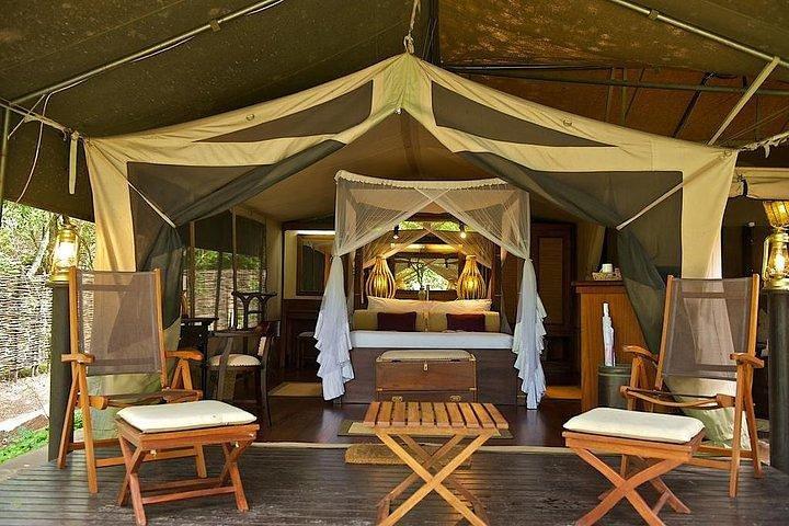 4 days Maasai Mara-Nakuru Mid-Range