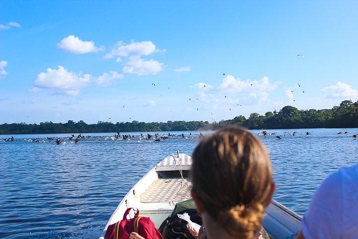 Adventure in the Amazon5D/4N At Amazon Peacock Paradise Ecolodge