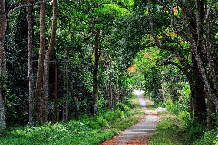 Cuc Phuong National Park Trekking Tour with Expert Guide