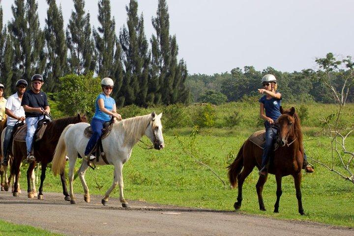 Scenic Horseback Riding Tour from San Juan