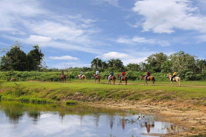 Scenic Horseback Riding Tour from San Juan