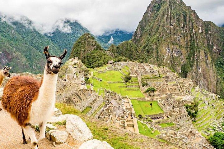 Machu Picchu by Train: A Seamless Full-Day Adventure