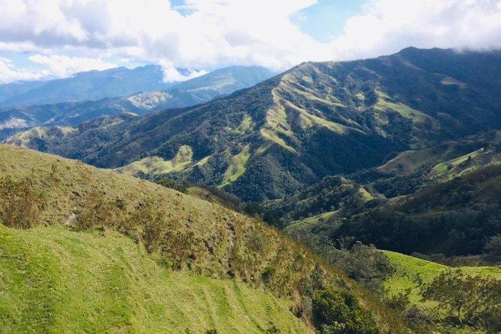 Salento, Cradle of wax palm, Carbonera Hike Tour