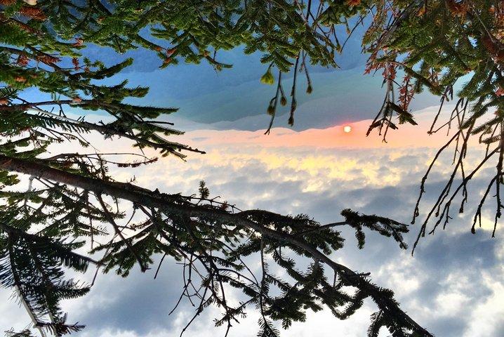 Fall Color Quest: Smoky Mountain Fall Foliage Hike