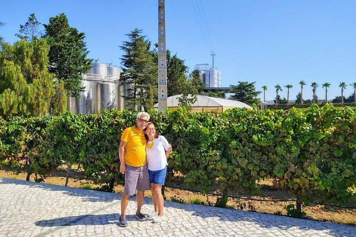 Lisbon & The South Side Wine Regions Private Luxury Tour