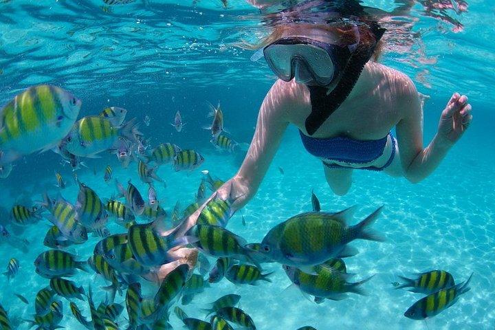 Cabo San Lucas Short Snorkeling Tour with Divemaster Guide