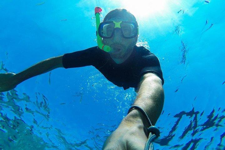 Cabo San Lucas Short Snorkeling Tour with Divemaster Guide
