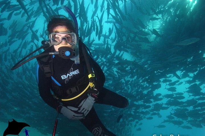 Beginner Scuba Diving in Cabo San Lucas