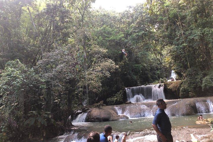 Black River Safari, YS Falls and Appleton Estate