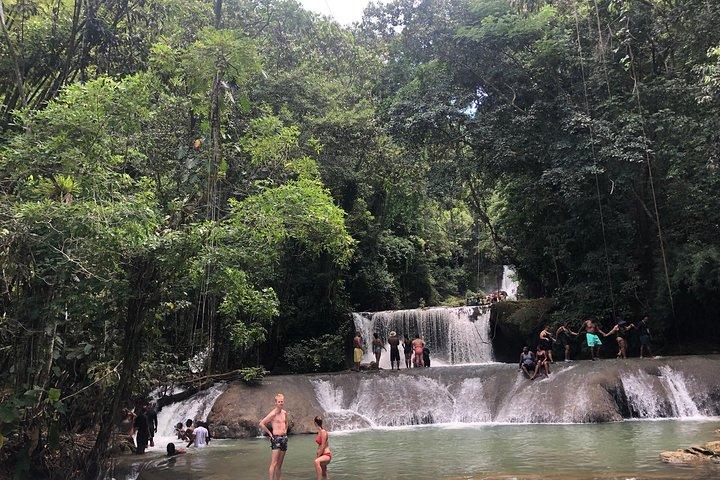 Black River Safari, YS Falls and Appleton Estate