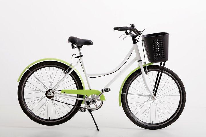 Full Day Bike Rental in Buenos Aires