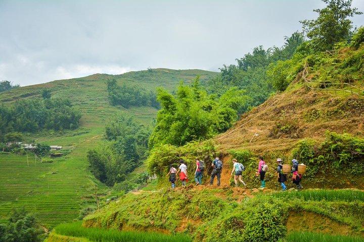 Trekking Through Rice Terraced Fields - 1Day