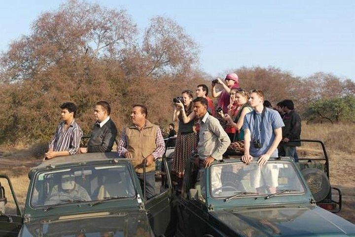 4-Day Ranthambore Tiger Safari, Taj Mahal & Delhi from Jaipur