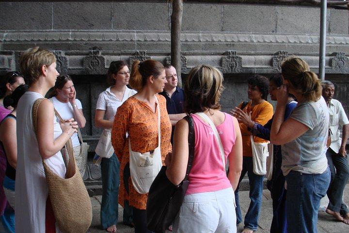 Private Peacock Trail Walking Tour in Mylapore