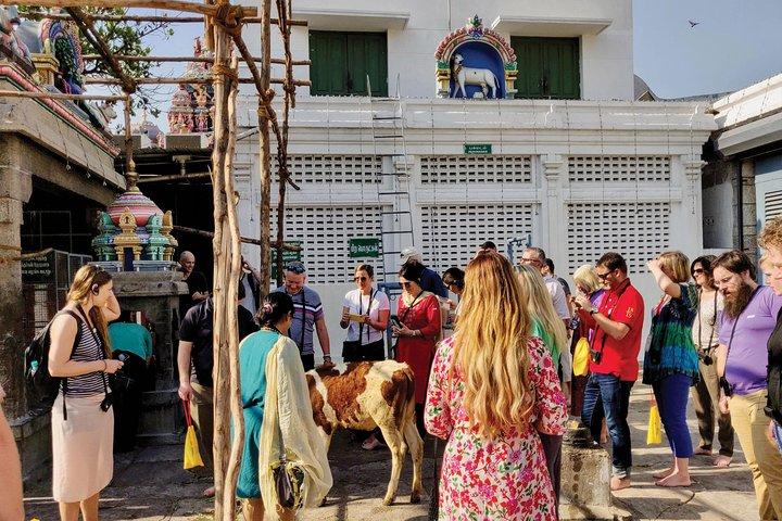 Private Peacock Trail Walking Tour in Mylapore