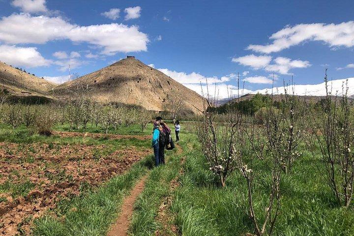 M’Goun Peak Ascent Trek- 6 Days