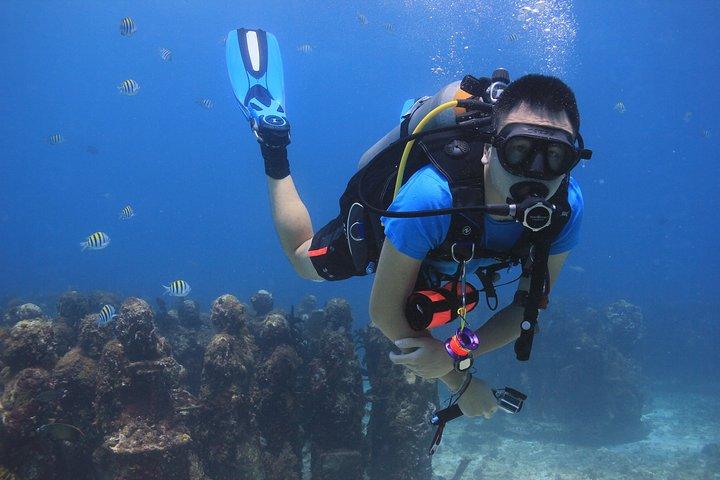 For certified Divers Experience the Under Water Museum and the Manchones Reef