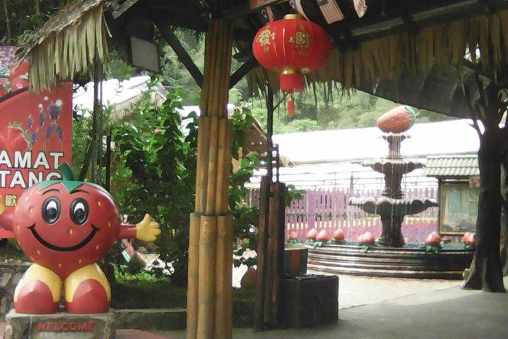 Batu Caves and Genting Highland Tour