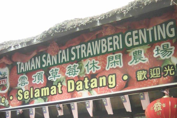 Batu Caves and Genting Highland Tour
