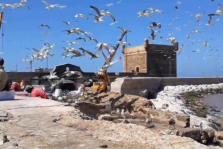Essaouira Day Departure From Marrakech